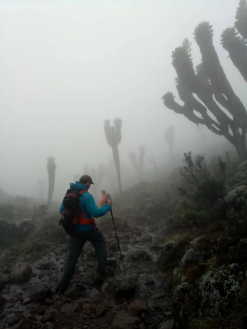 Kilimanjaro trek